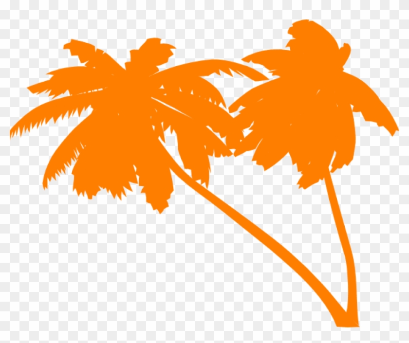 Free Png Download Palm Tree Vector Png Images Background Beach