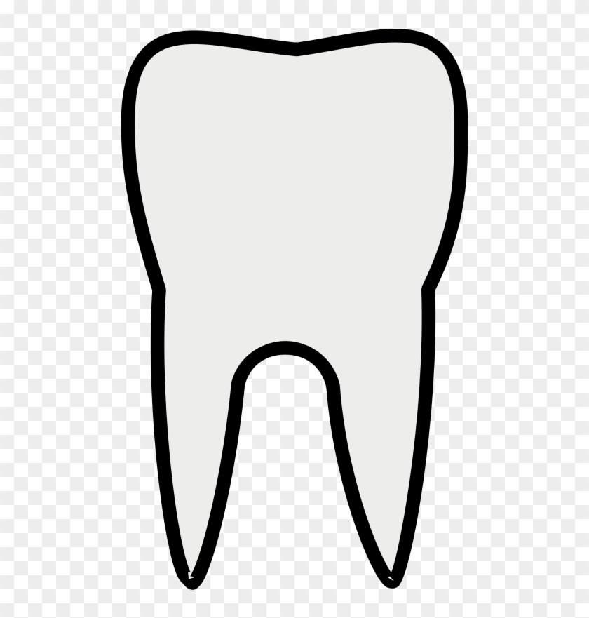 Teeth Plain - Premolar Teeth Clipart, HD Png Download - 800x800(#1199453) -  PngFind