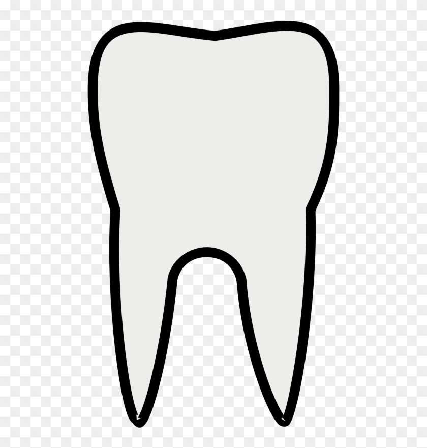 Teeth Plain - Premolar Teeth Clipart, HD Png Download - 800x800(#1199453) - PngFind Teeth Plain - Premolar Teeth Clipart, HD Png Download - 800x800(#1199453) - PngFind