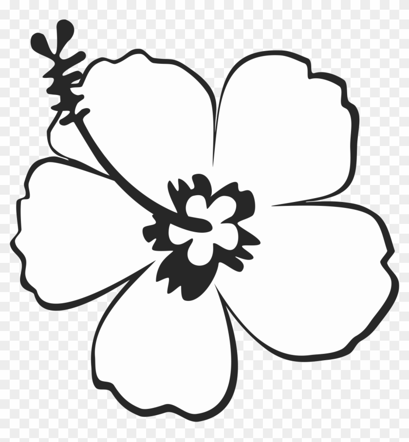 stylish-hibiscus-outline-rubber-stamp-outline-image-of-hibiscus-hd-png-download-1712x1771