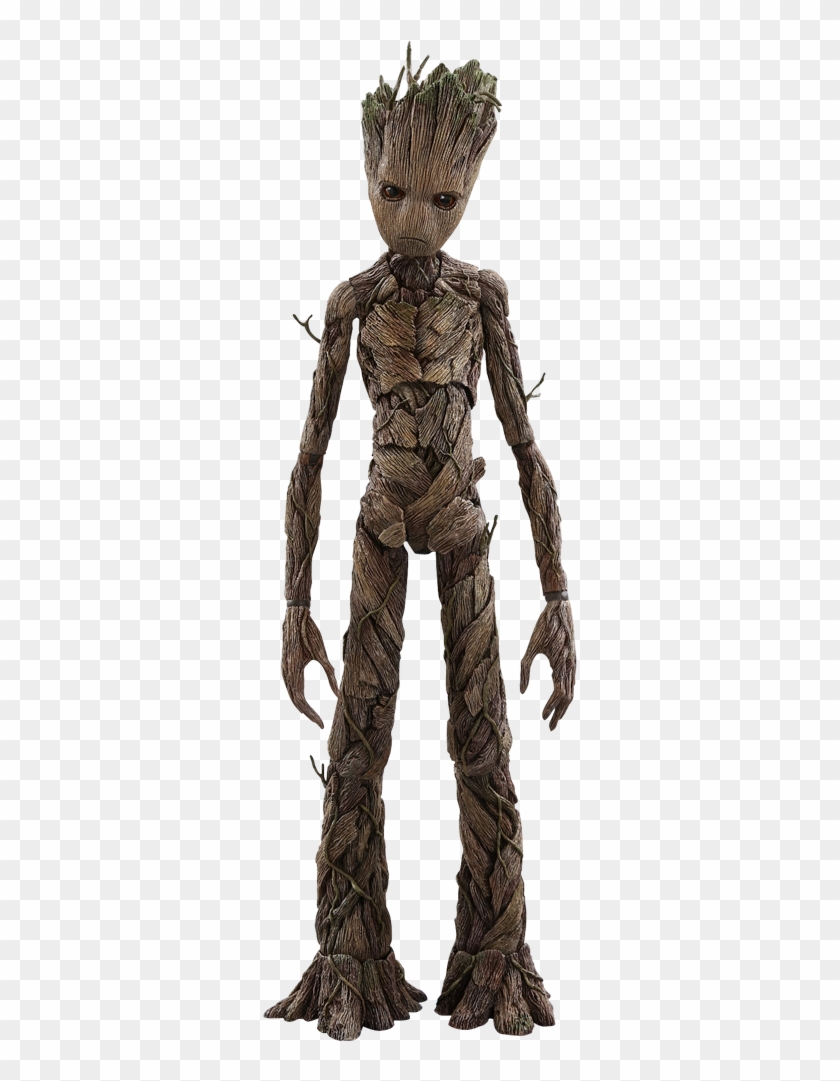Groot Avengers - Groot Avengers Infinity War, HD Png Download - 384x800(#128908) - PngFind Groot Avengers - Groot Avengers Infinity War, HD Png Download - 384x800(#128908) - PngFind