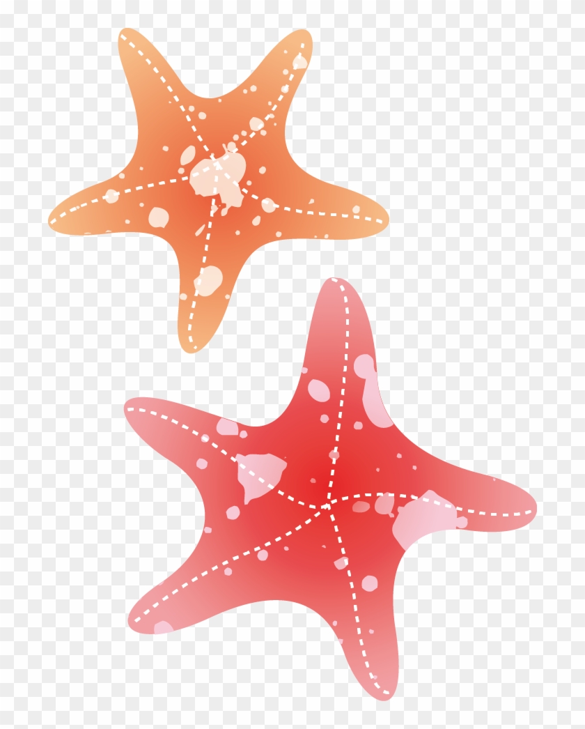 702 X 966 4 Sea Star Watercolor Png Transparent Png 702x966 1208811 Pngfind