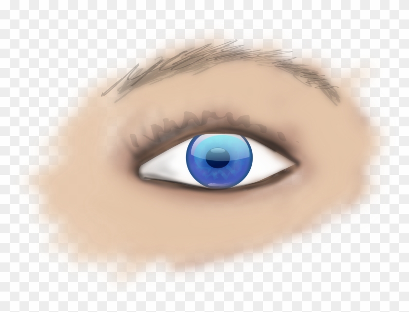 Eye Png, Transparent Png - 2400x1746(#1210756) - PngFind