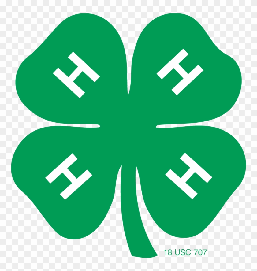What Is 4 H 4h Cloverbuds HD Png Download 1080x1080(#1211533 What Is 4 H 4h Cloverbuds HD Png Download 1080x1080(#1211533