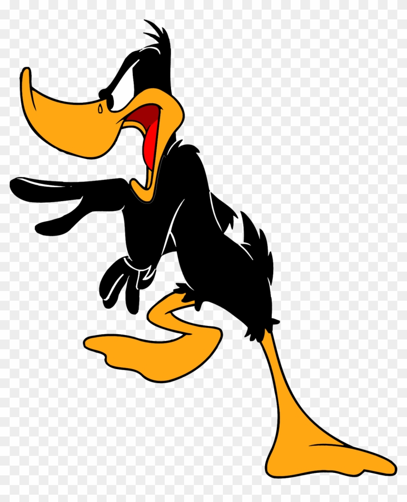 100 Daffy Duck Wallpapers  Wallpaperscom