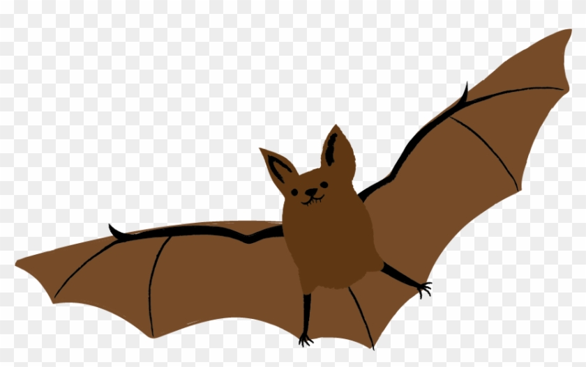 Little Brown Bat , Png Download - Little Brown Myotis, Transparent Png ...