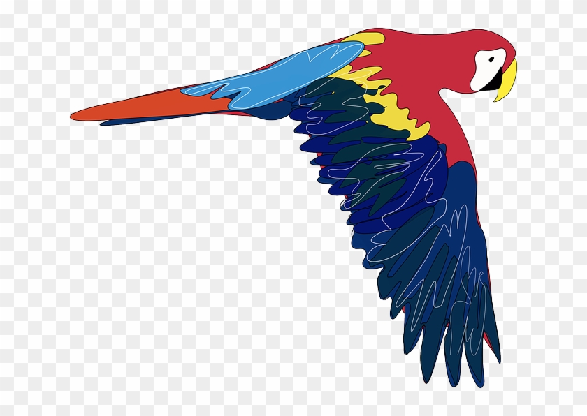Cartoon Bird Flying Parrot Colorful Animal Pretty Penguin - Parrot Clip  Art, HD Png Download - 640x516(#1245287) - PngFind