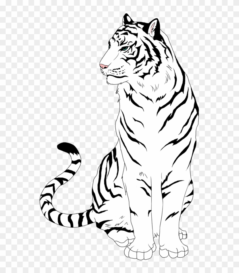 900 X 900 7 - White Tiger Drawing Easy, HD Png Download - 900x900