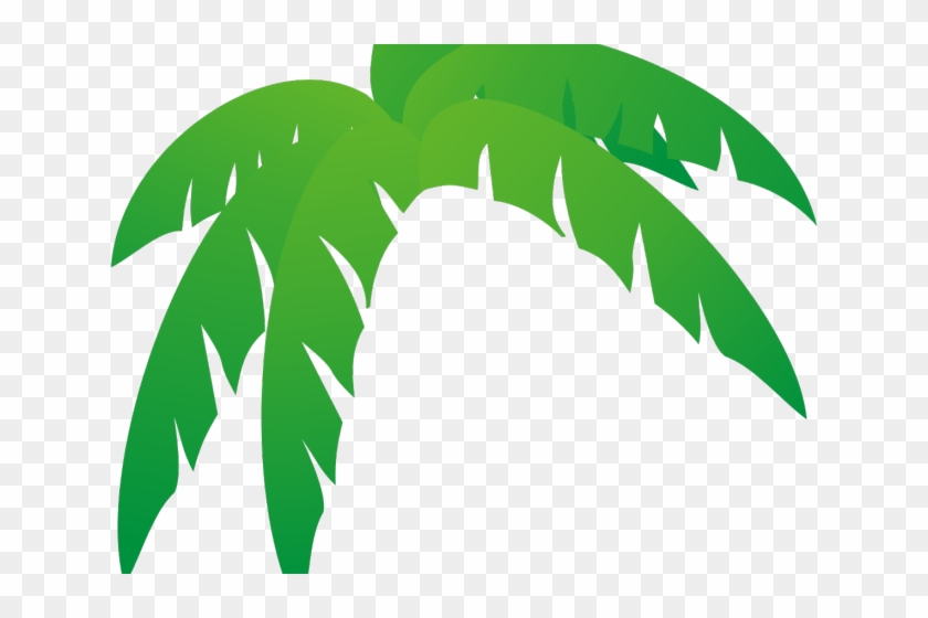 Download Green Leaves Clipart Jungle Leaf Palm Frond Palm Tree Leaf Hd Png Download 640x480 1258946 Pngfind