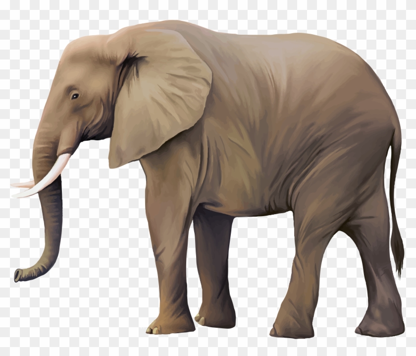 Animal Illustrator Illustration Real Transprent - Realistic Elephant