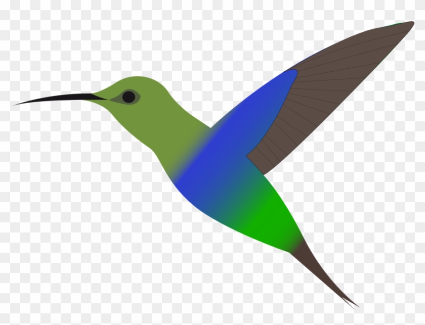 Svg Royalty Free Stock Public Domain Clip Art Image Free Clip Art Hummingbird Hd Png Download 958x691 1269877 Pngfind