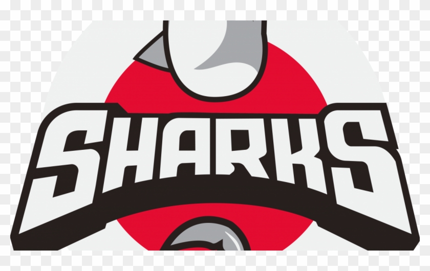 basketball team logo