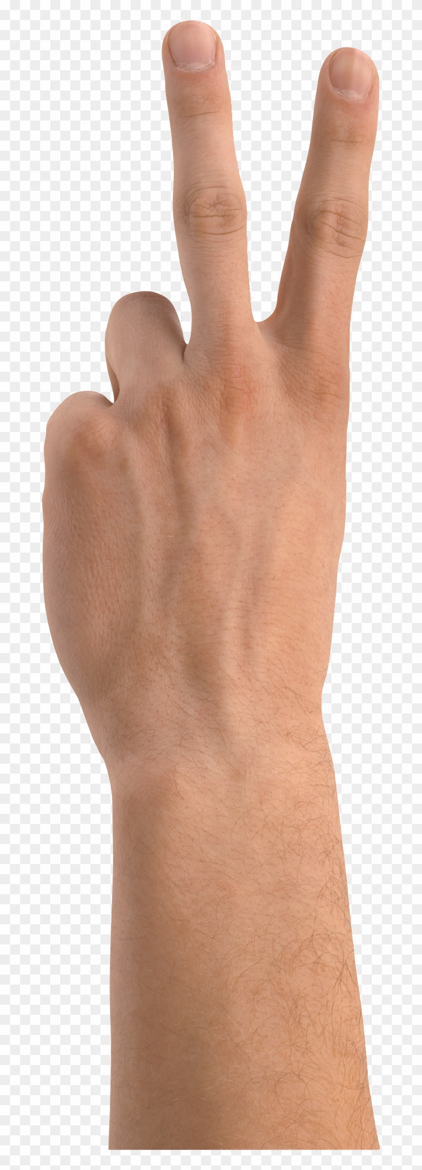 Downloadhand Downloadhand