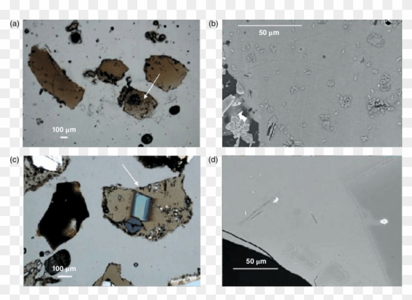 Scanning Electron Microscope Images Of Shards With - Shard Of Glass ...