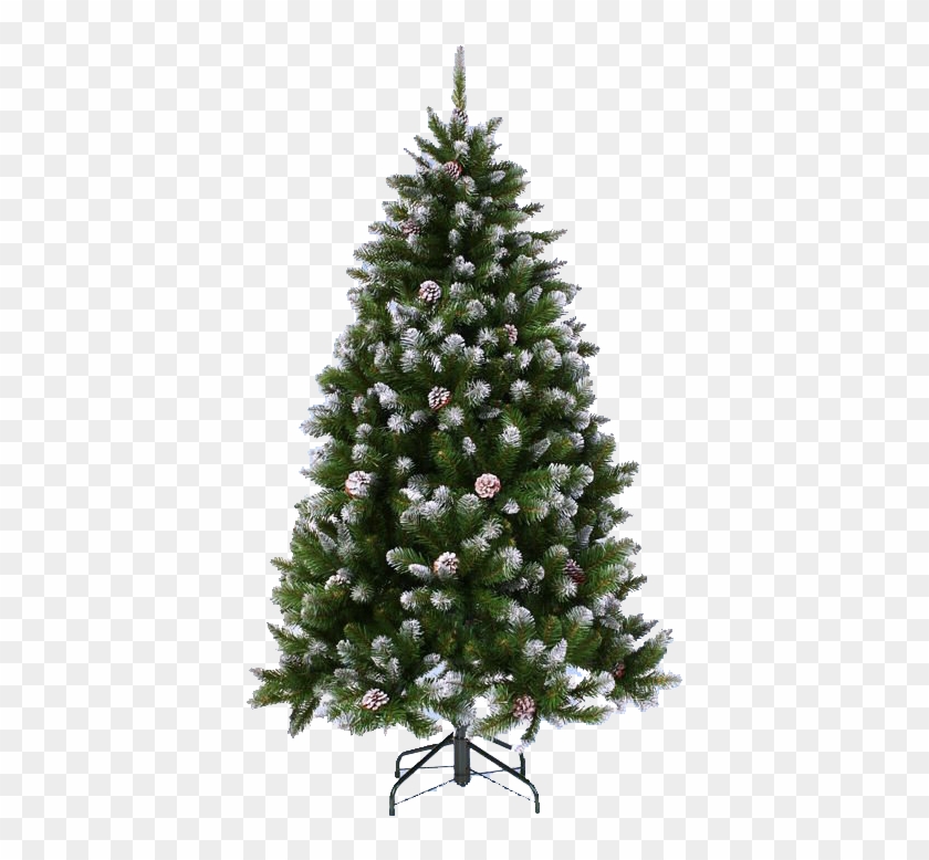Árbol De Pino Con Nieve Para Navidad - Real Christmas Tree Plain, HD Png  Download - 490x710(#1299386) - PngFind