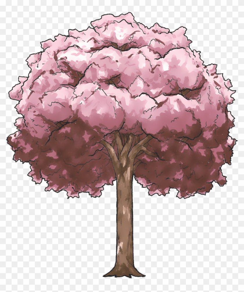 Cherry Blossom Tree - Cherry Blossom Anime Tree Drawing, HD Png Download -  1161x1306(#134495) - PngFind