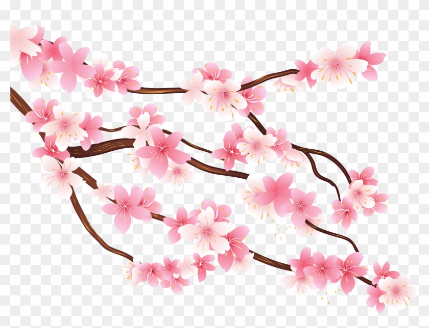 Flower Tree Png - Transparent Background Cherry Blossom Png, Png Download -  5090x3693(#135508) - PngFind