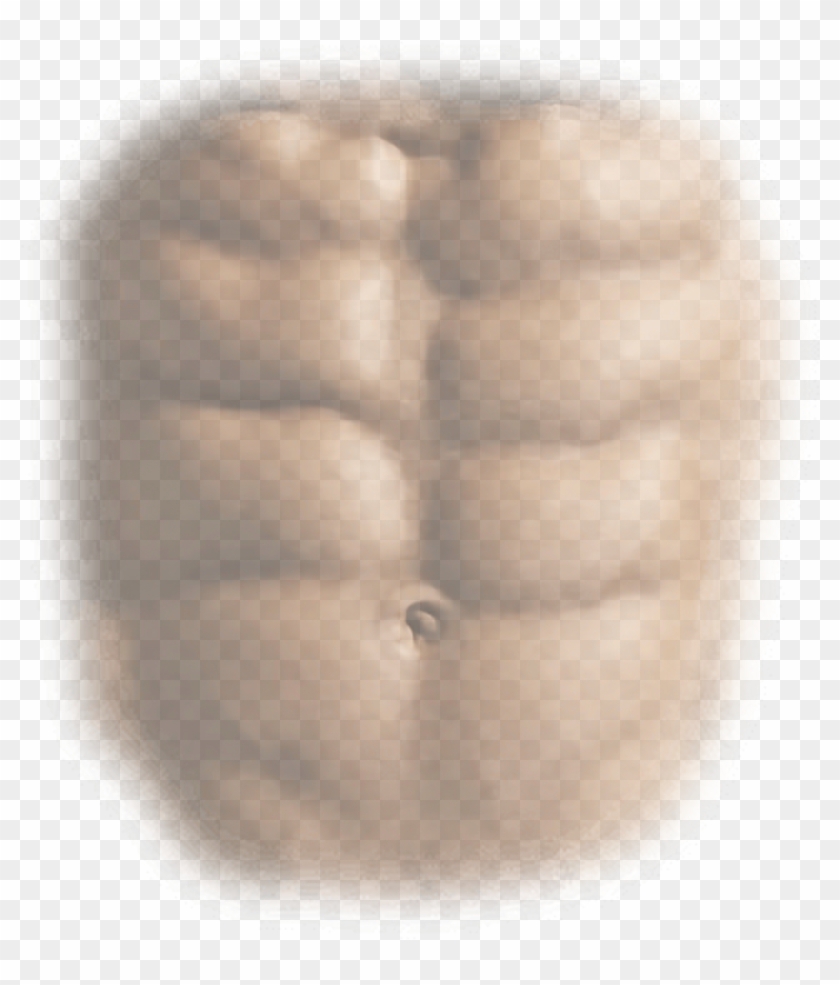 Six Pack Abs Png For Picsart Png Download Transparent Png 873x982 138556 Pngfind - roblox abbs png six pack png roblox png image with