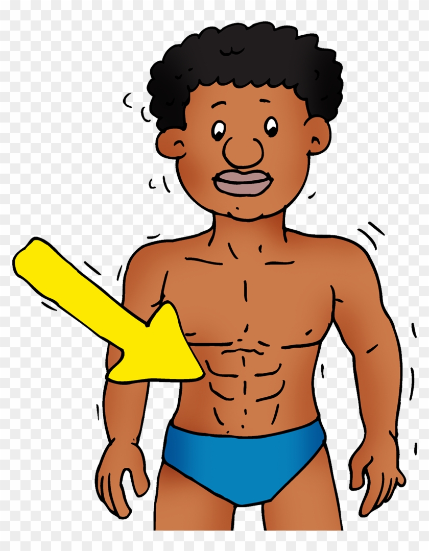 Abs - Cartoon, HD Png Download - 1000x1000(#139042) - PngFind