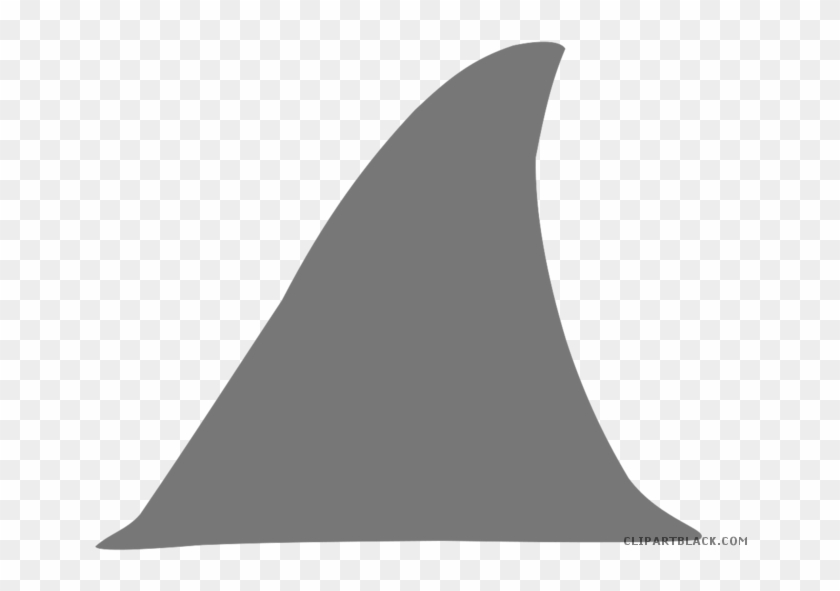 Grey Shark Fin Clipart Hd Png Download 700x525 Pngfind