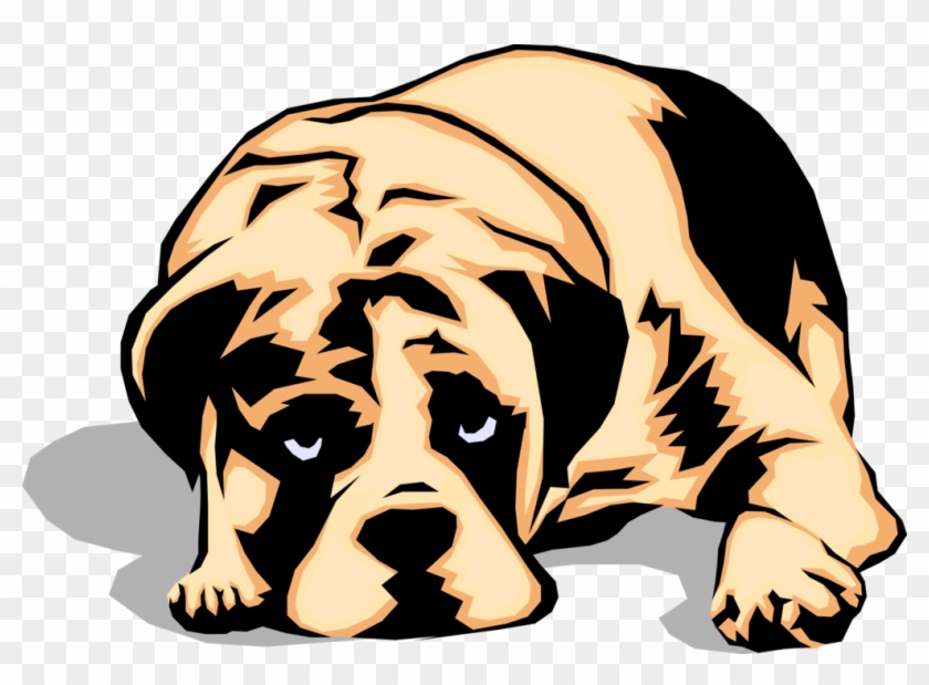 Vector Illustration Of Sad Looking Family Pet Puppy - Transparent  Background Sad Dog Clipart, HD Png Download - 1015x700(#1313592) - PngFind