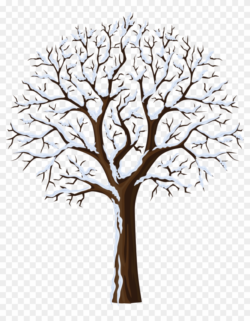 Winter Clip Art Photo And Png Jpg Bare Tree With Snow Clipart Transparent Png 1036x1280 1314383 Pngfind