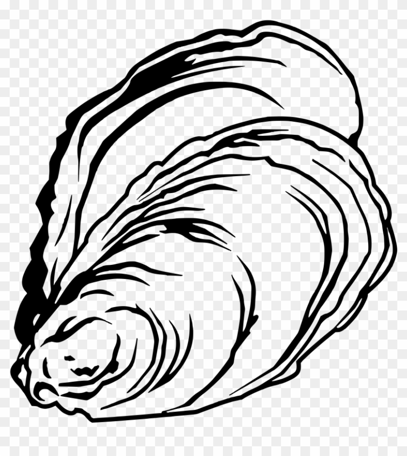 Oyster Drawing At Getdrawings Oyster Fish Drawing, HD Png Download
