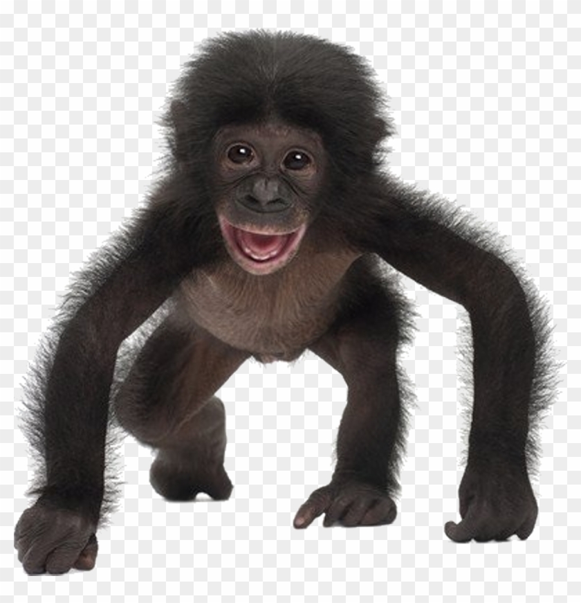 Free Free 332 Puppy Monkey Baby Svg SVG PNG EPS DXF File