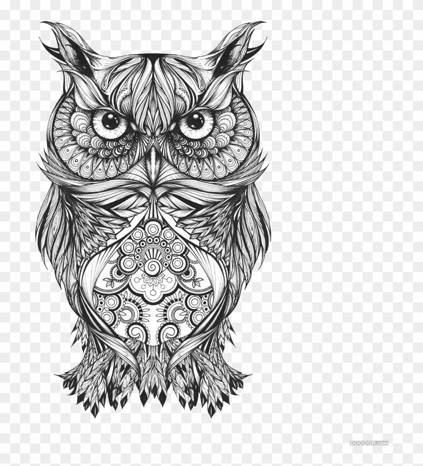 And Owl Arts Pattern National Sketch Visual Clipart - Owl Drawing Tattoo,  HD Png Download - 960x945(#1322185) - PngFind