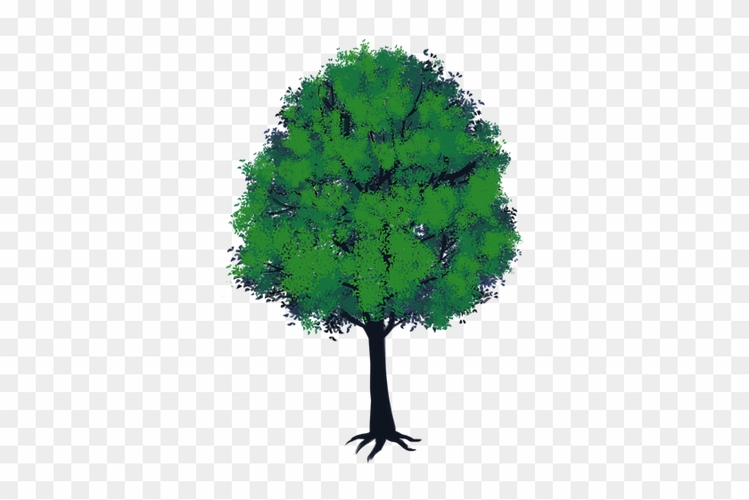 Arboles Png Gratis - Arbol Animado Png, Transparent Png - 509x720(#1341033) - PngFind Arboles Png Gratis - Arbol Animado Png, Transparent Png - 509x720(#1341033) - PngFind