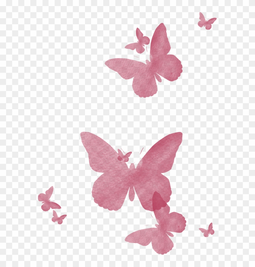Pink Butterflies - Butterfly Transparent Pink Png, Png Download -  590x800(#1351489) - PngFind
