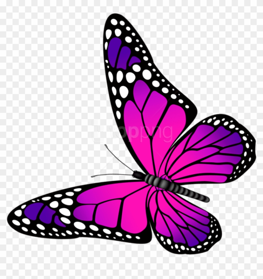 Bạn đang tìm kiếm một hình ảnh miễn phí về mẫu bướm hồng và tím trong suốt? Đến với chúng tôi để tìm kiếm một hình ảnh đẹp và chất lượng cao. Ảnh miễn phí này sẽ giúp bạn hài lòng với một mẫu bướm đẹp trong suốt, vừa đủ đậm và nhạt để tạo ra hiệu ứng nghệ thuật tuyệt vời.