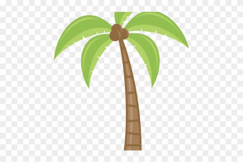 Palm Tree Cartoons - Cartoon Palm Tree Transparent, HD Png Download - 640x480(#1353226) - PngFind Palm Tree Cartoons - Cartoon Palm Tree Transparent, HD Png Download - 640x480(#1353226) - PngFind