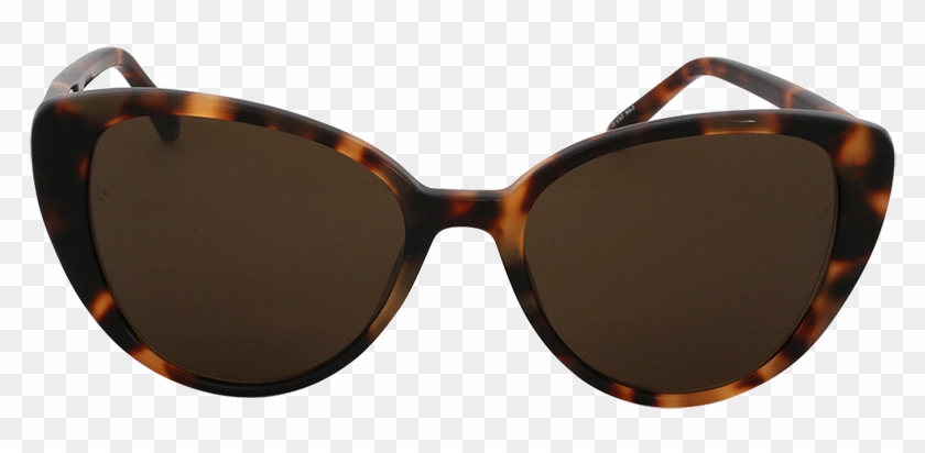 Reflection Zoom Design Loading Zoom - Reflection, HD Png Download - 960x960(#1358416) - PngFind