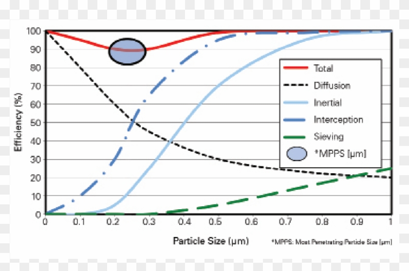 Primary Size Chart