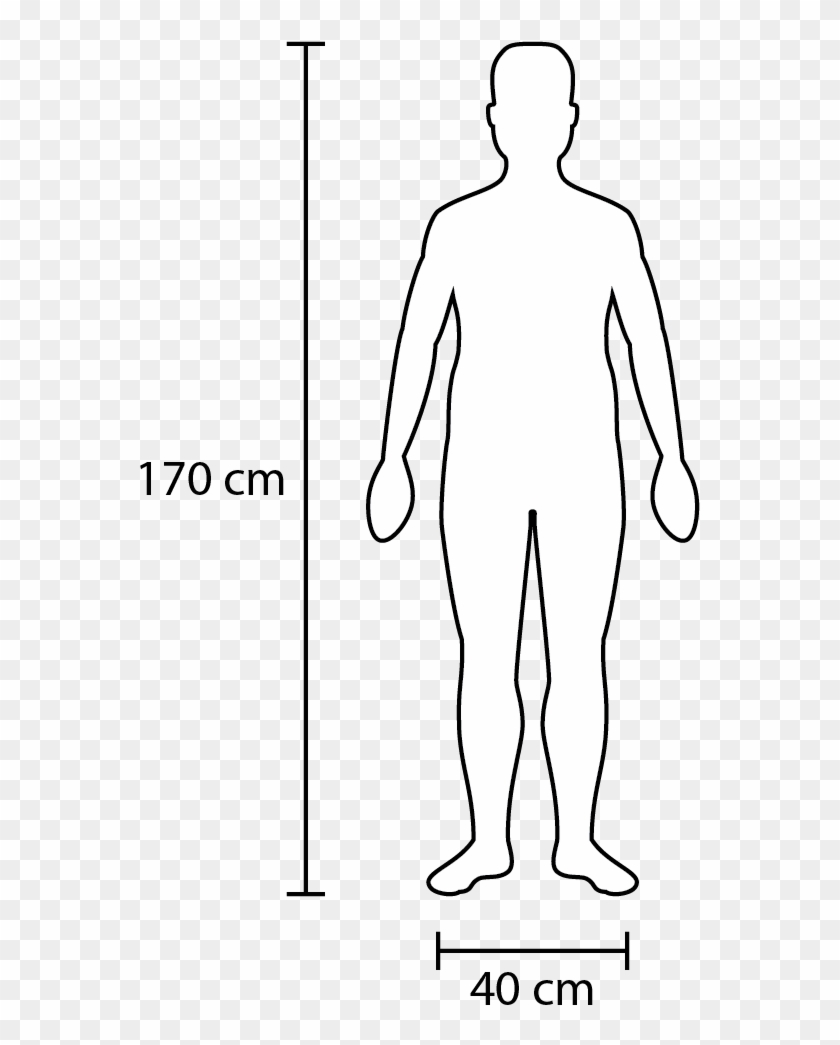figure scale