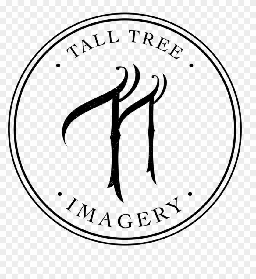 Tall Tree Png, Transparent Png 1000x1000(1374225)