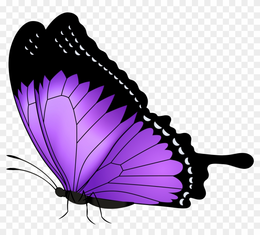 Purple Butterfly Transparent Png Clip Art Image, Png Download -  8000x6853(#1379356) - PngFind
