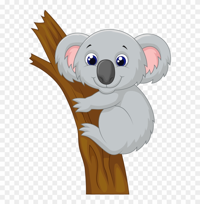 Koala Clipart Discussion - Australian Animals Cartoon, HD Png Download -  597x778(#143042) - PngFind