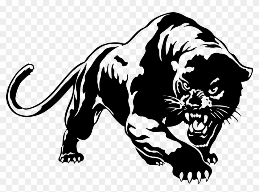 Panther Png Picture Black Panther Animal Drawing Transparent Png 800x557 144957 Pngfind