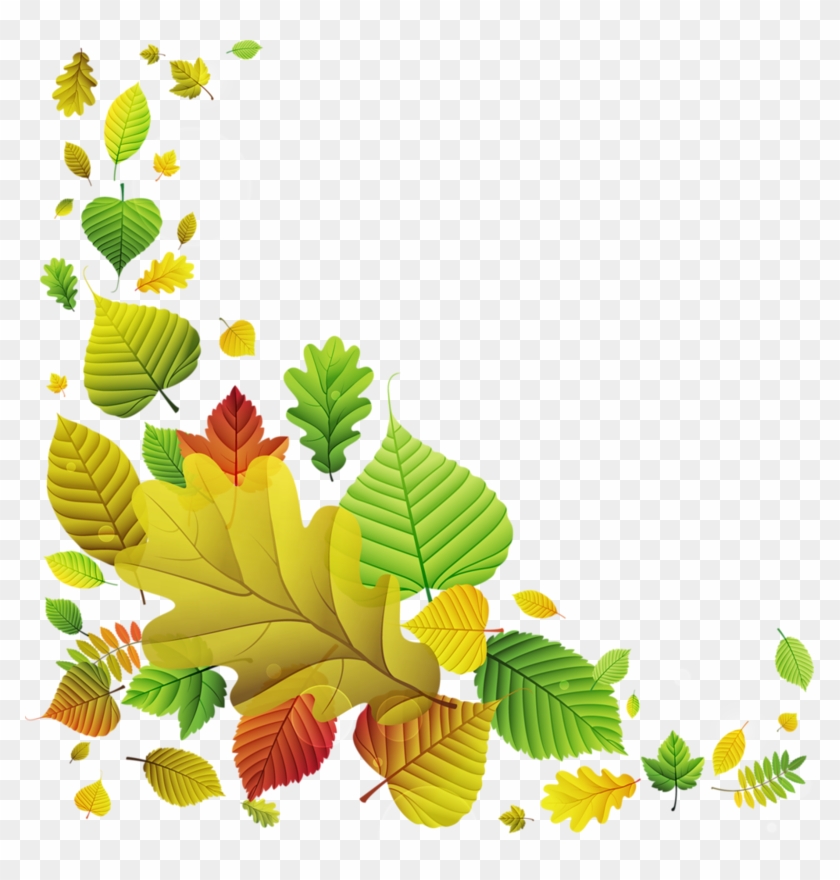 Fotki Clipart Borders And Frames Busy Book Decoupage Marcos De Hojas Png Transparent Png 789x800 148594 Pngfind