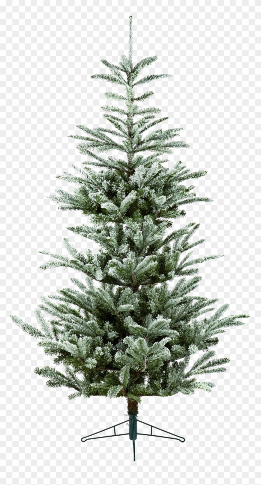 Fir Tree Download Transparent Png Image Juletrae Nordmannsgran Png Download 2000x1734 1414974 Pngfind