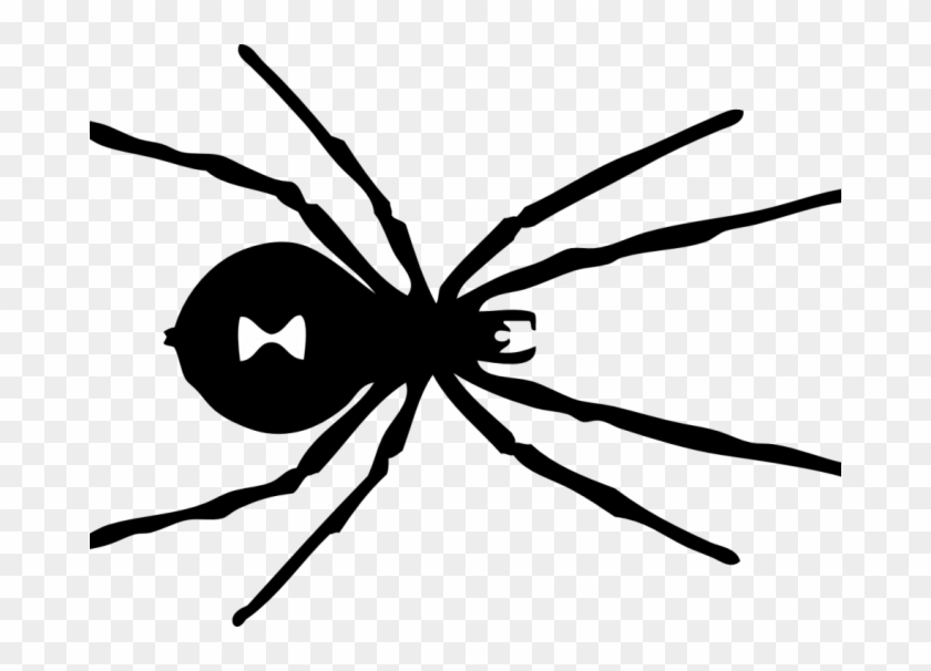 Black Spider Coloring Page Black Widow Spider Coloring Black Widow