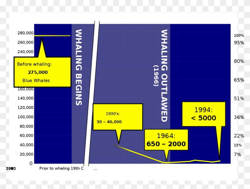 Blue Whale Population, Pengo Blue Whale Population Graph, HD Png