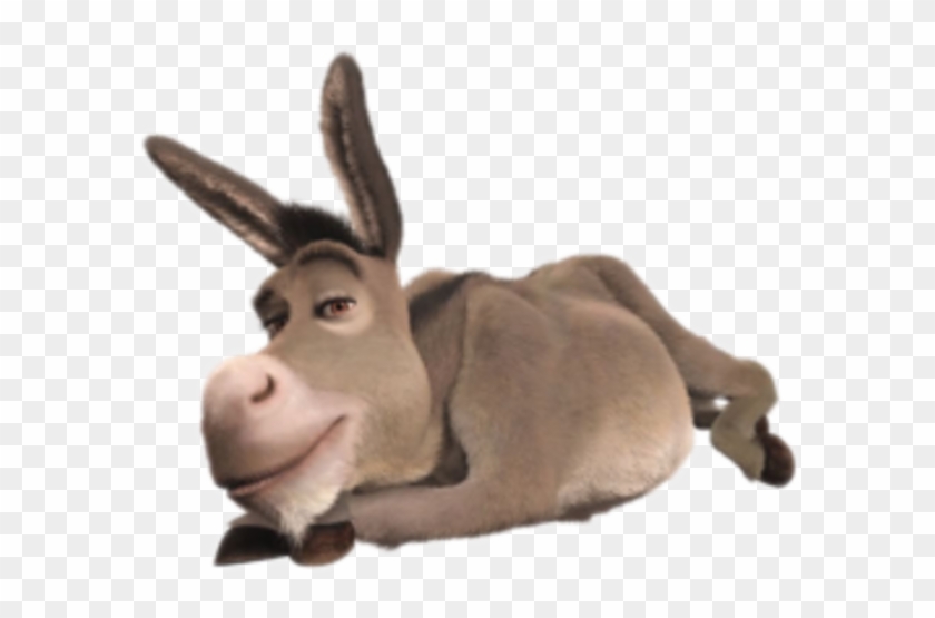 Shrek Clipart Animated - Donkey Shrek Laying Down, HD Png Download -  600x600(#1443331) - PngFind