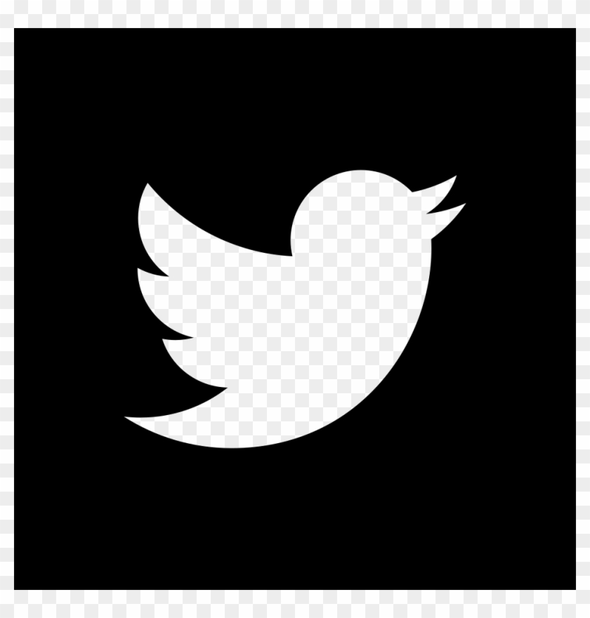 Twitter Square Logo Comments Twitter Icon White Transparent Hd Png Download 980x980 Pngfind