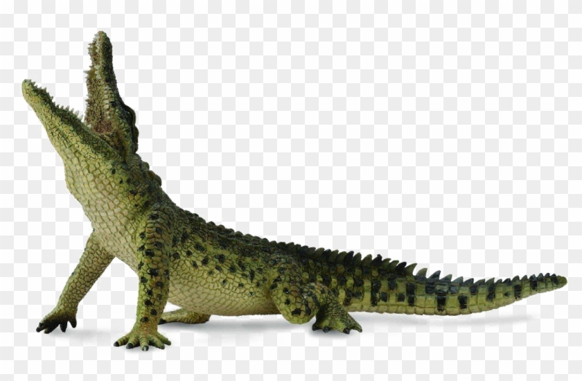 Crocodile Transparent Image Collecta Nile Crocodile Hd Png Download 10x734 Pngfind Crocodile Transparent Image Collecta Nile Crocodile Hd Png Download 10x734 Pngfind