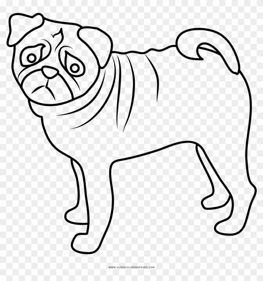 Pug Coloring Page - Desenho Para Pintar De Pug, HD Png Download -  1000x1000(#1486514) - PngFind