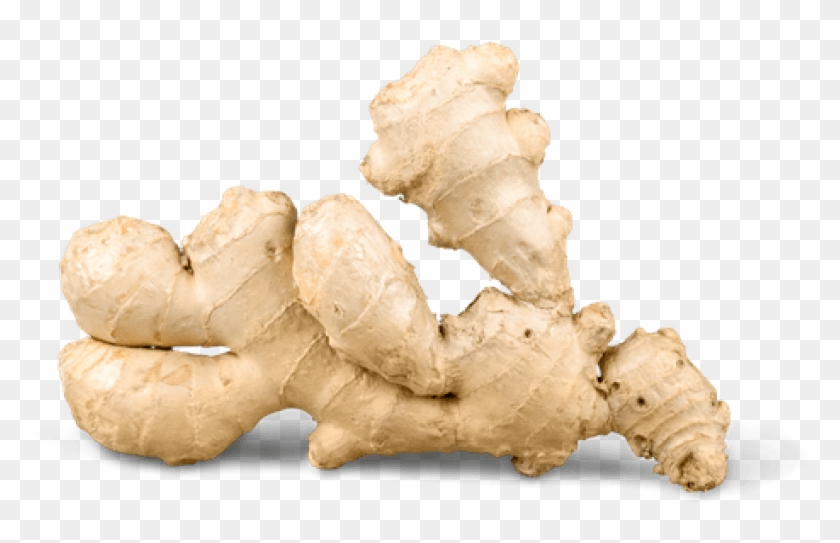 Download Ginger Image Png Images Background - Ginger Transparent, Png ...