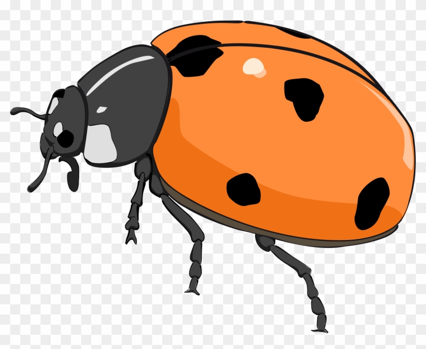 Ladybug Icon, Transparent Ladybug.PNG Images & Vector - FreeIconsPNG